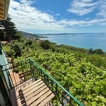 M&s House 아파트 *