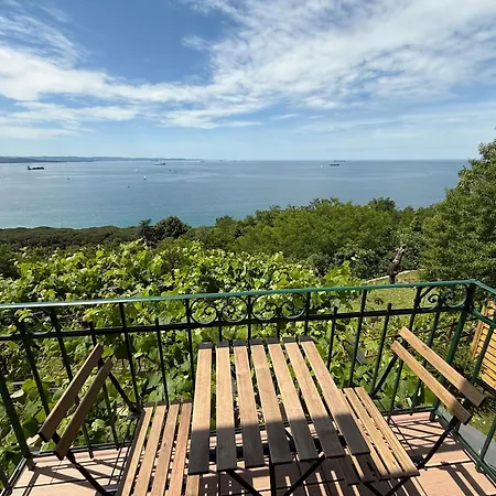 M&s House 트리에스테