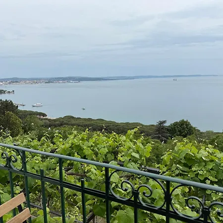 M&s House Apartman *