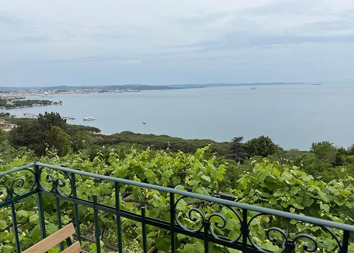 M&s House Appartement *