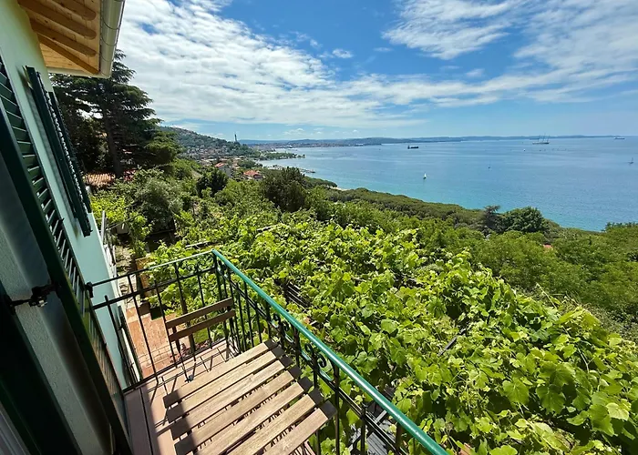 M&s House Apartman *